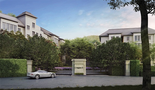 banner-project-details