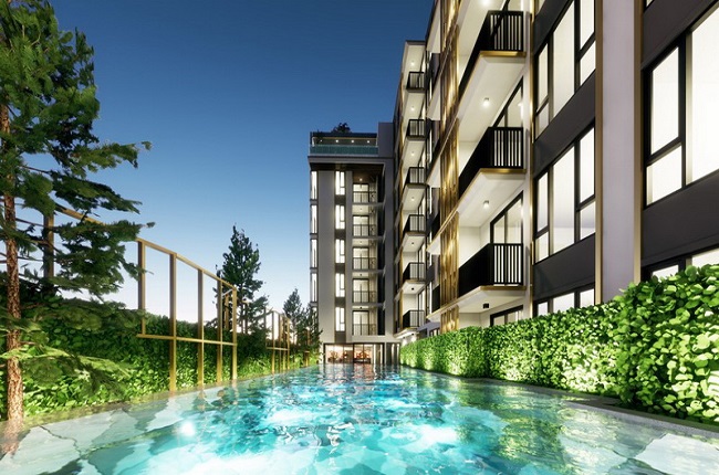 banner-project-details