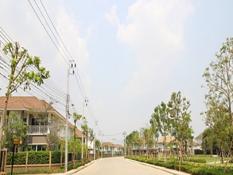 Delight-Scene-Watcharaphol-Jatuchot