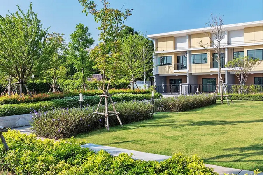 Pruksapan-Kradideaw-3