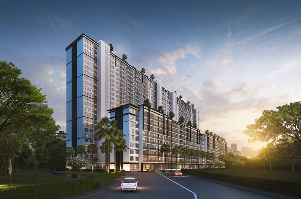 banner-project-details