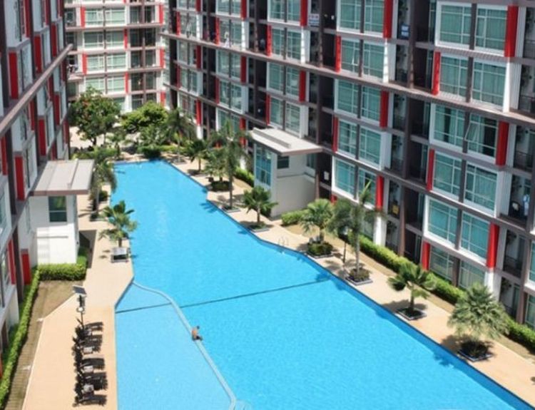 ซีซี-คอนโดมิเนียม