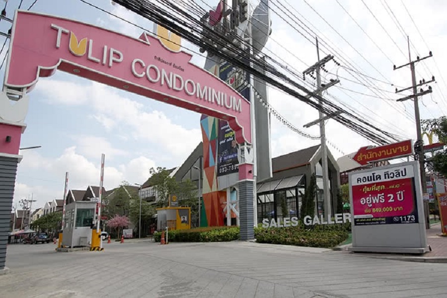 Tu-lip-S-quare-Om-noi