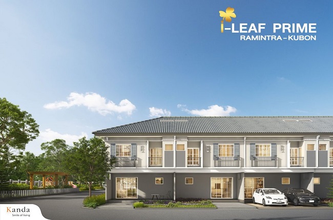 banner-project-details