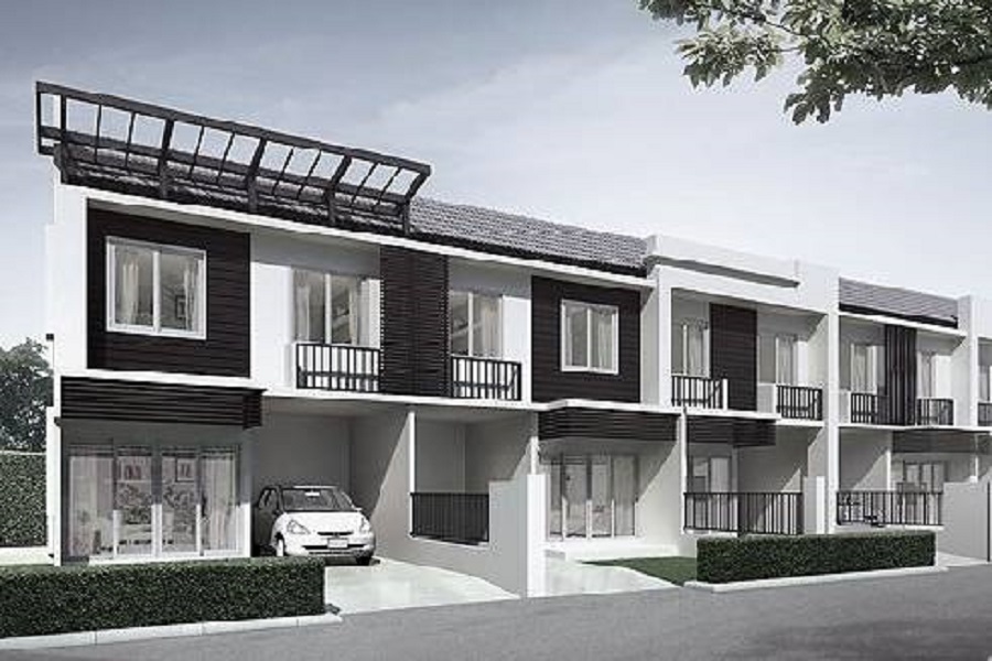 Areeya-Color-3-Premium