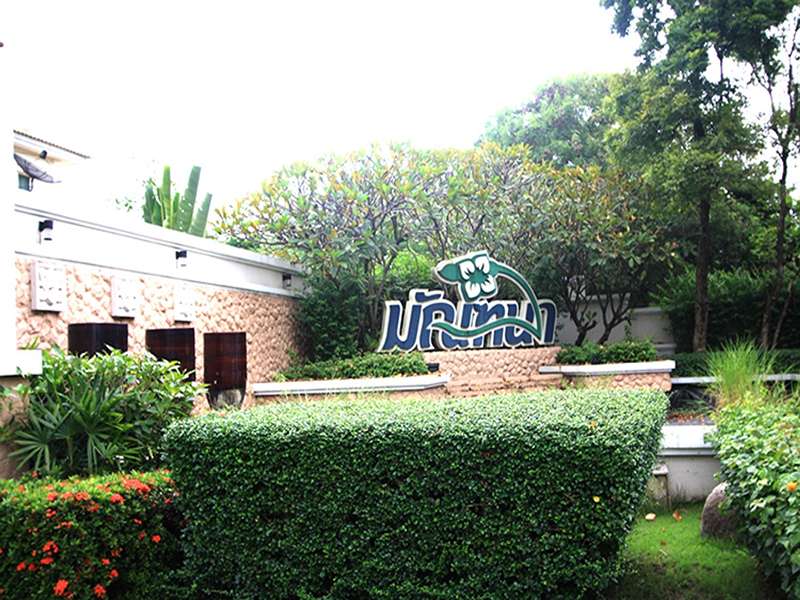 มัณฑนา-เพชรเกษม-81