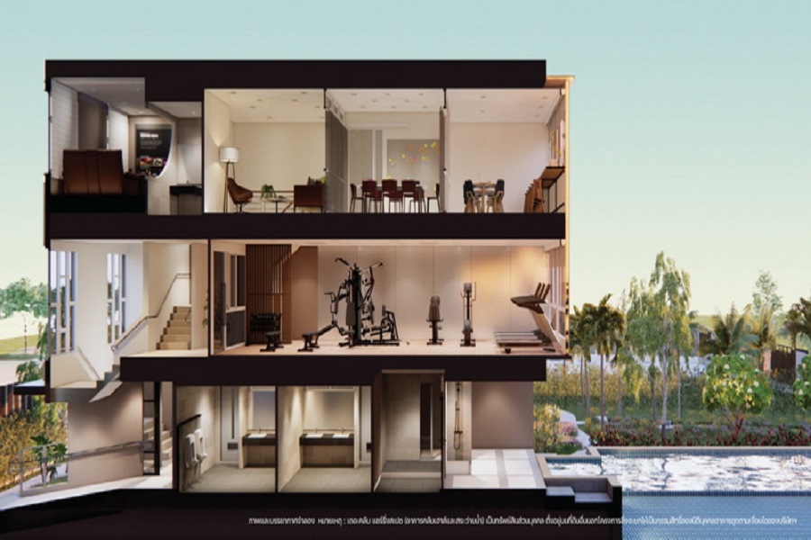 วันพลัส-สวนดอก-10