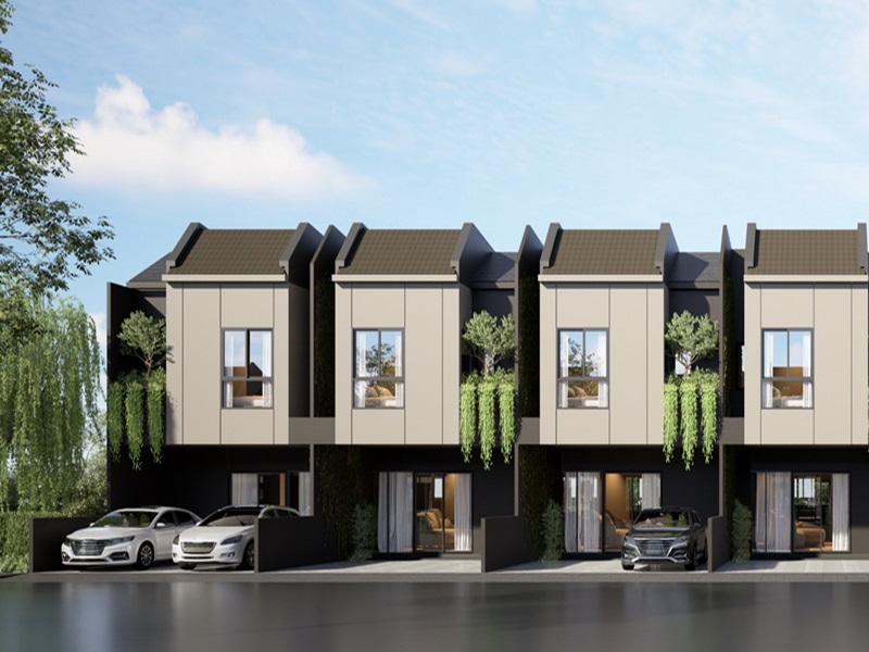 SIAMESE-BLOSSOM-Phahol-Vibhavadi