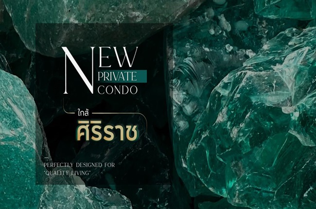 banner-project-details