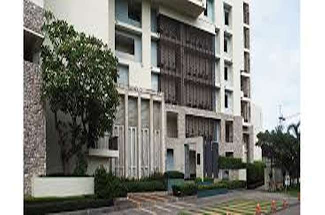 banner-project-details