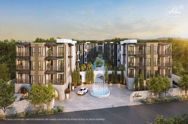 banner-project-details