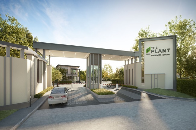 banner-project-details