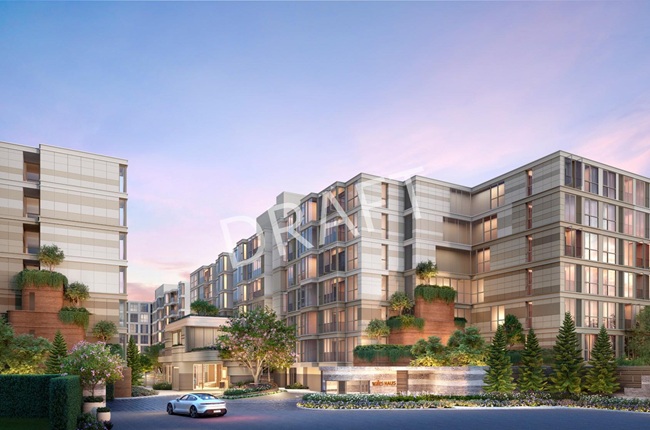 banner-project-details