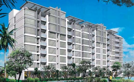 banner-project-details