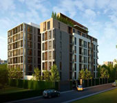 banner-project-details